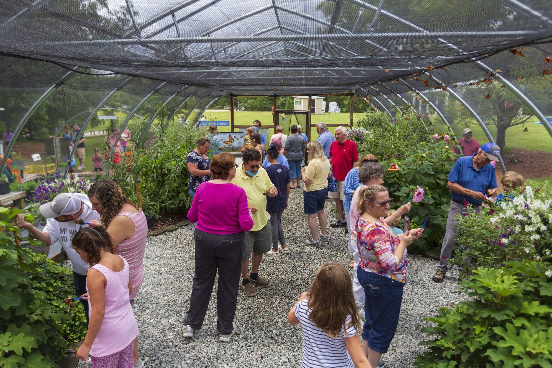 All-A-Flutter Farms